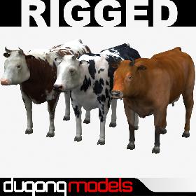Cow Collection